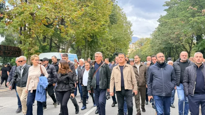 Hallet e qytetarëve si kauzë politike/ Drejtuesit e protestës jetojnë në luks