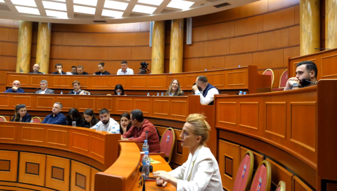 Rinasi dhe dy zonat e tjera drejt Tiranës/ Debat për hartën e re territoriale