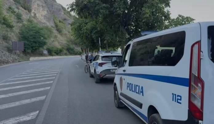 Masakër me armë në Kamëz/ Dy vëllezër të vrarë dhe një i plagosur